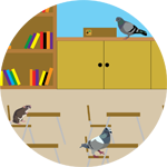 School screen